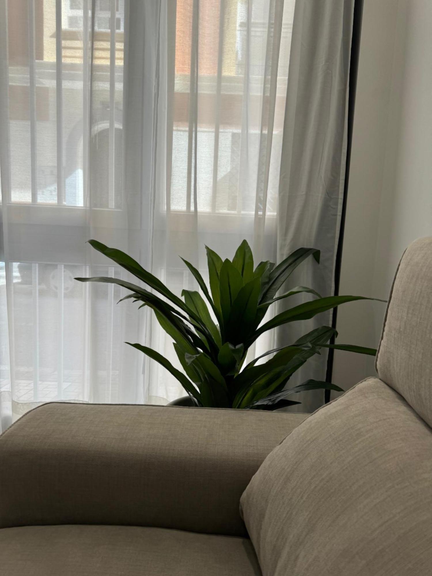 Alderete Suites Málaga Esterno foto